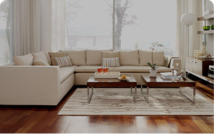 ס������